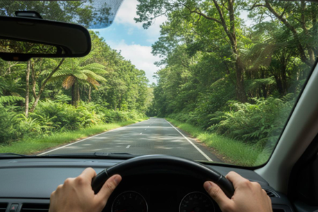 Driving through a green road